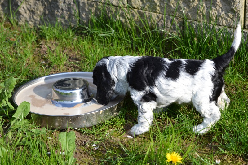 Vrh H a CH 08- Haidi.JPG